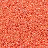 MIYUKI Round Rocailles Beads SEED-G008-RR0424-3