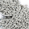 Opaque Colours Luster Glass Seed Beads SEED-P008-01C-11-1