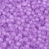 FGB Frosted Transparent Glass Seed Beads SEED-N013-02A-07-3