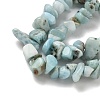 Natural Larimar Beads Strands G-P302-03-5