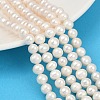 Natural Cultured Freshwater Pearl Beads Strands PEAR-I007-07Y-04A-1