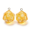 Transparent Acrylic Pendants MACR-O044-03F-1