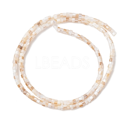 Natural Freshwater Shell Beads Strands X-SHEL-K006-72A-1