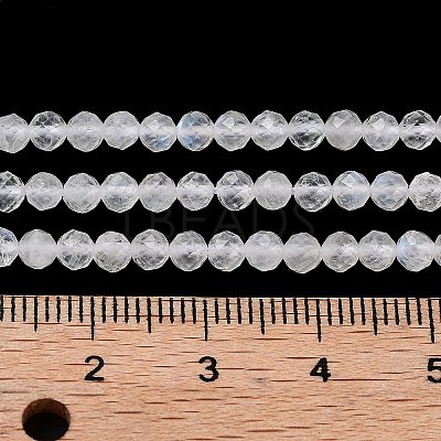 Faceted Round Natural Rainbow Moonstone Bead Strands G-F289-05-1