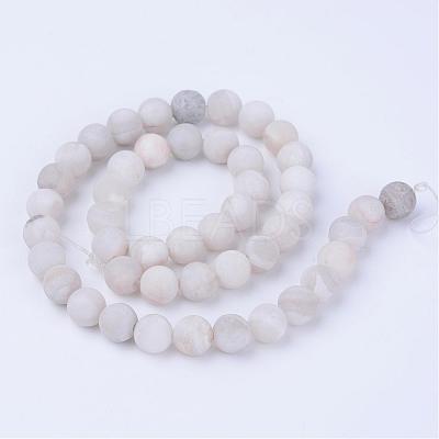 Natural Agate Beads Strands G-Q462-8mm-09-1