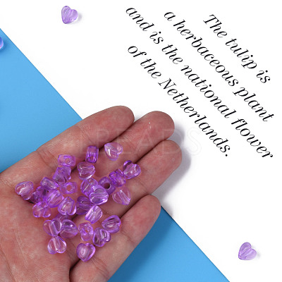 Transparent Acrylic Beads MACR-S373-95-B14-1