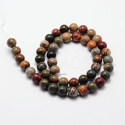 Natural Polychrome Jasper/Picasso Stone/Picasso Jasper Bead Strands G-O155-02B-10mm-1