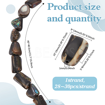 1 Strand Natural Abalone Shell/Paua Shell Beads Strands SSHEL-ME0001-01-1