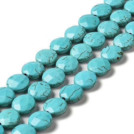 Natural Howlite Beads Strands G-C025-07A-1