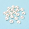Shell Pearl Half Drilled Beads BSHE-G011-01-12mm-4