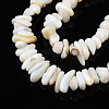 Natural Trochid Shell/Trochus Shell Beads Strands X-SHEL-S258-080-A01-3