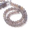 Natural Agate Stone Beads Strands G-T055-8mm-08-2