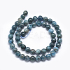 Natural Apatite Beads G-E481-05-6mm-2