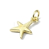 Brass Charms KK-H475-38G-03-2