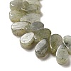 Natural Labradorite Beads Strands G-B064-B62-4