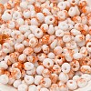 Baking Paint Glass Seed Beads SEED-F006-01A-10-3
