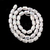 Natural Selenite Beads Strands G-F750-B-20-4