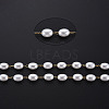 304 Stainless Steel & ABS Plastic Imitation Pearl Beaded Chains CHS-S008-015G-4