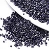 FGB 11/0 Grade A Glass Seed Beads SEED-S030-1214-1