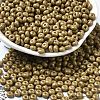Baking Paint Glass Seed Beads X1-SEED-B001-02A-18-1
