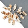 Natural Shell Beads Strands SHEL-K009-12-2