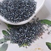 MIYUKI Delica Beads X-SEED-J020-DB0179-1