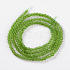 Glass Beads Strands EGLA-E057-02B-13-2