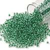 TOHO 8/0 Round Beads SEED-JPTR08-0343-1