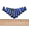 Natural Lapis Lazuli Beads Strands G-P298-I01-3
