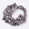 Electroplated Natural Quartz Crystal Bead Strands G-F336-06G-2