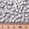 6/0 Glass Seed Beads SEED-US0003-4mm-121-3