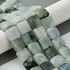Natural Myanmar Jadeite Beads Strands G-A092-C01-02-2