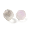 Frosted Transparent Resin Beads RESI-I340-02-3