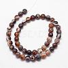 Natural Striped Agate/Banded Agate Bead Strands G-K166-11-8mm-01-2