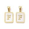 Ion Plating(IP) 304 Stainless Steel Pave Shell Pendants X-STAS-G327-01G-F-1