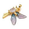 Brass Glass Rhinestone Pendants KK-U035-30G-3