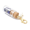Natural Lapis Lazuli Chips inside Glass Wishing Bottle Pendant Decoration HJEW-JM03307-03-5
