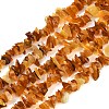 Natural Amber Chip Beads Strands G-E271-81-01-1