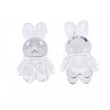 Transparent Acrylic Beads MACR-S373-81-B01-2