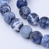 Natural Sodalite Beads Strands X-G-Q462-10mm-07-1