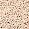 6/0 Glass Seed Beads SEED-L011-08A-24-3