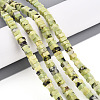 Natural Serpentine Beads Strands G-T140-50-1