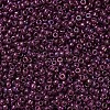 MIYUKI Round Rocailles Beads X-SEED-G007-RR0313-3