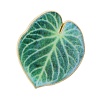 Leaf Enamel Pins JEWB-S040-01A-G-1