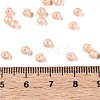 Glass Seed Beads SEED-T007-01A-4
