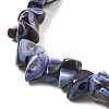 Dyed Natural Trochus Shell Beads Strands BSHE-Z006-01C-3