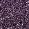 MIYUKI Delica Beads X-SEED-J020-DB1893-3