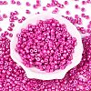Baking Paint Pearlized Glass Seed Beads SEED-T008-03N-2