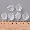 Transparent Frosted Acrylic Pendants MACR-S371-01A-701-4