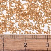MIYUKI Delica Beads X-SEED-J020-DB1101-4